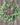 Spring Floral & Greenery
