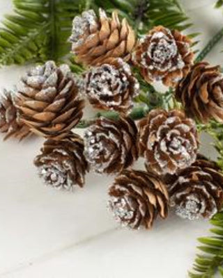 Winter Holiday