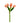 Real Touch Medium Open Tulip - 13"
