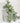Eucalyptus Spray