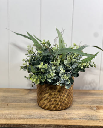 Willow Gale Eucalyptus Pot