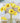 Real Touch Poppy Flower 10"