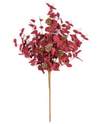 Dark Red Eucalyptus Bush