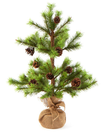 Pine Tree with Burlap Base