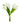 Real Touch Medium Open Tulip - 13"