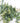 24" Artificial Spiral Eucalyptus stems