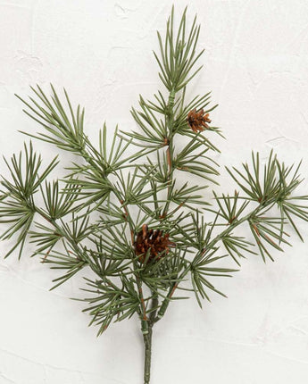 Wispy Pine Stem