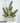 Artificial Angel Pine Pick
