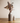 Modern Bottle Vase