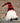 Sitting Plush Red/Black Plaid Santa Gnome